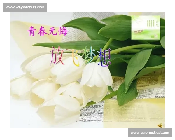 拼尽全力仍留遗憾出局赛场见证梦想与现实的残酷碰撞青春无悔瞬间