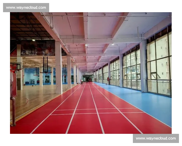 综合体育馆周边运动休闲设施规划与功能优化研究 综合体育馆周边运动休闲设施规划与功能优化研究